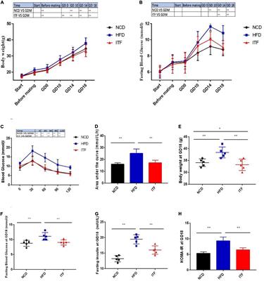 The Protective Effects of Inulin-Type Fructans Against High-Fat/Sucrose Diet-Induced Gestational Diabetes Mice in Association With Gut Microbiota Regulation